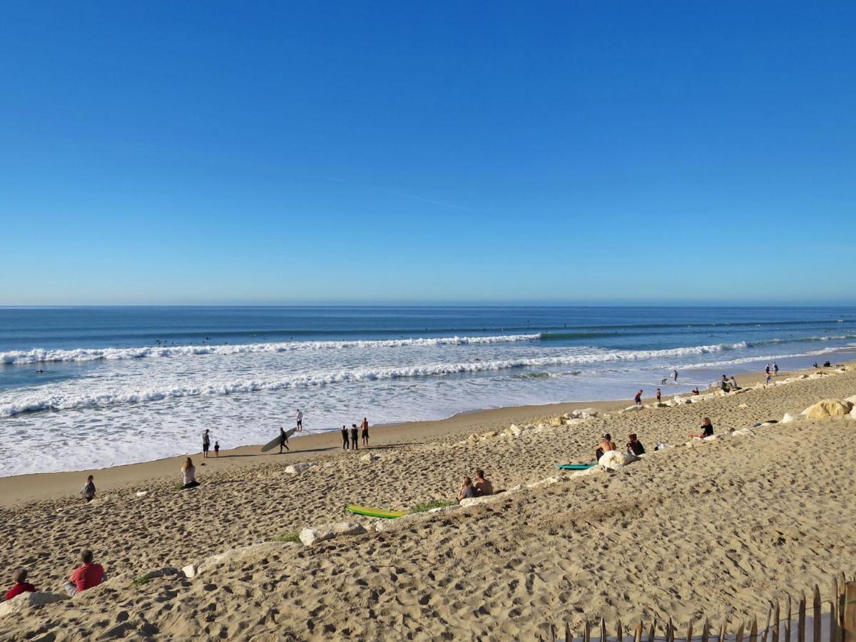 Holiday Home Les Palombes-3 By Interhome ラカノー エクステリア 写真